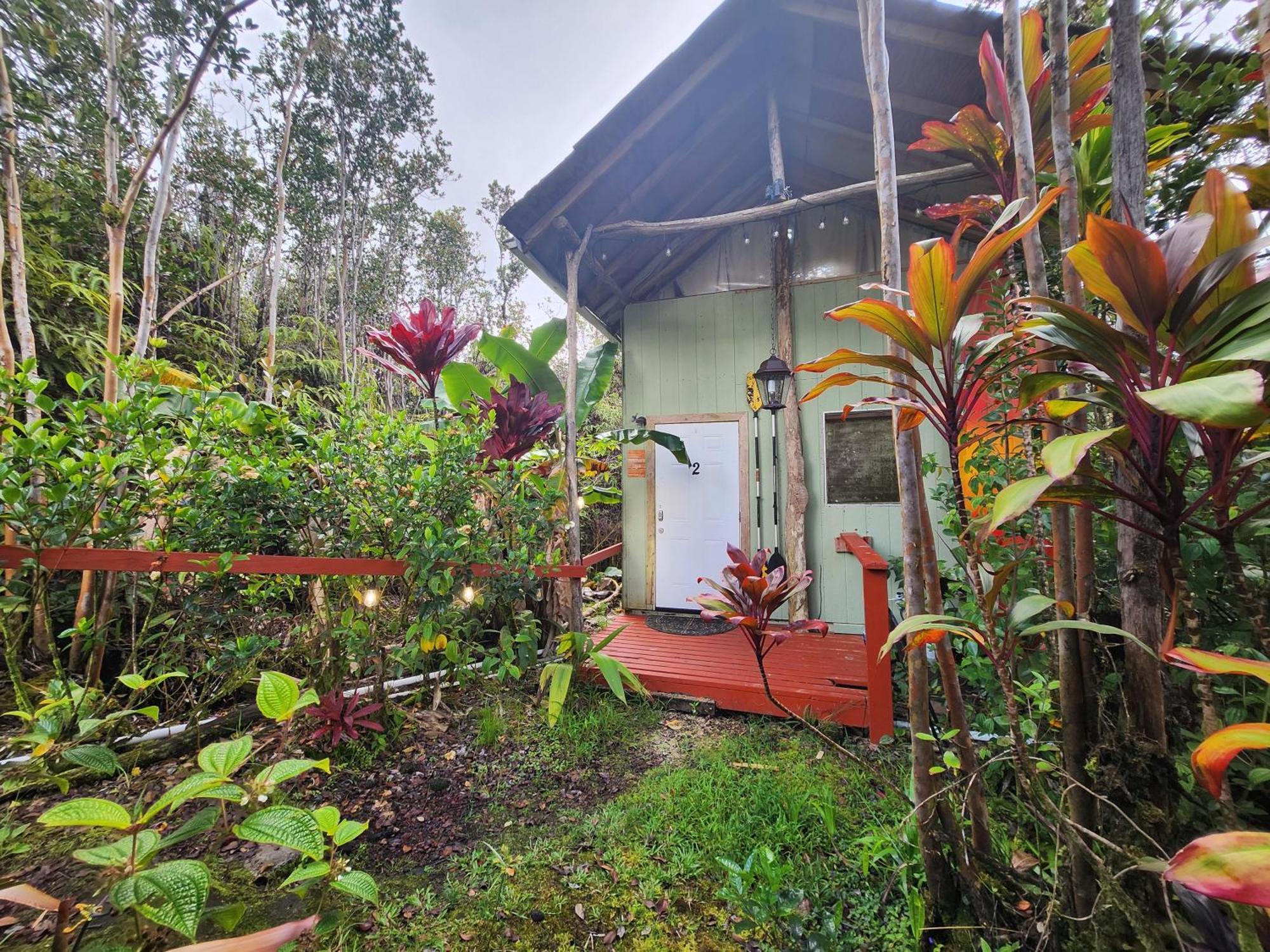 Cabin 2-Rustic Private Stay Near Volcano National Park Fern Forest Экстерьер фото